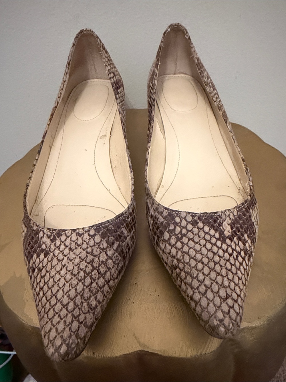 Calvin Klein snake print kitten heels